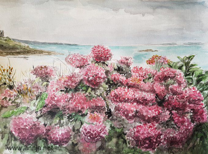 Aquarelle originale - Mer d'hortensia